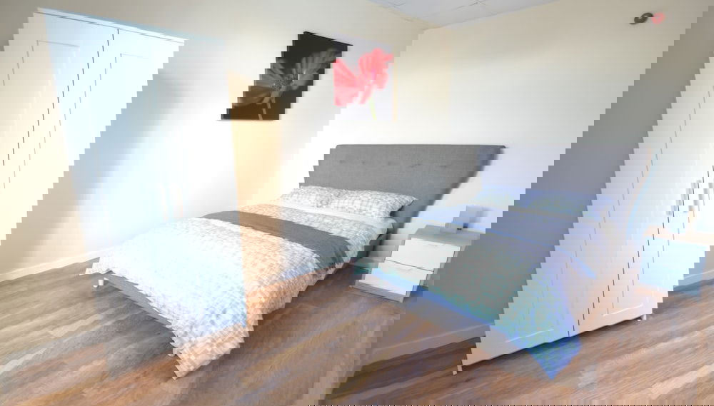 Image principale