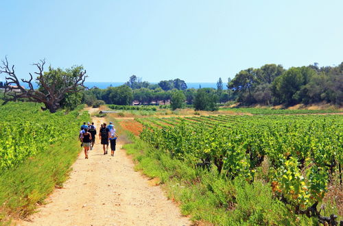 Photo 21 - Azureva La Londe Les Maures