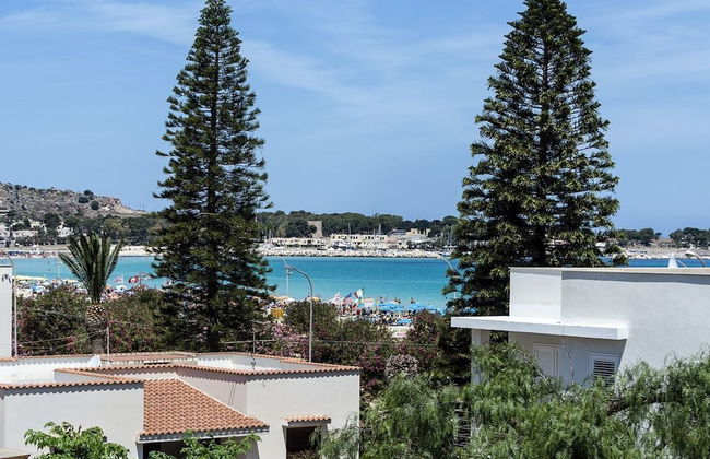 Spuma di Mare - Delfino - Foto 13
