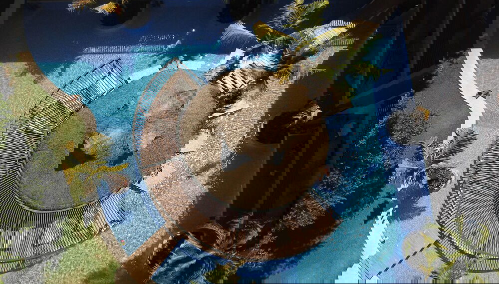 Imagem principal