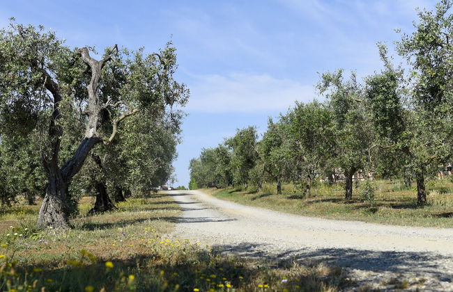 Agriturismo il Laghetto - Foto 36