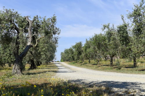 Foto 44 - Agriturismo il Laghetto