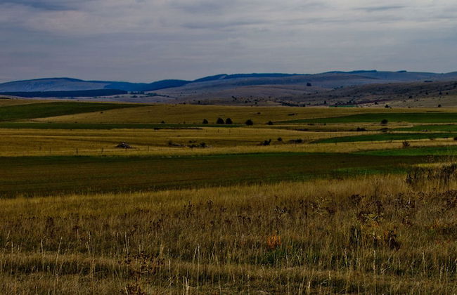 Domaine Aigoual Cévennes - Foto 38