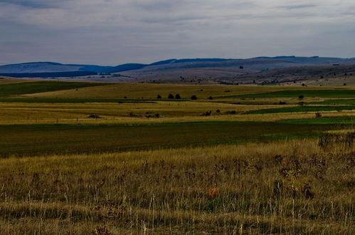 Photo 40 - Domaine Aigoual Cévennes