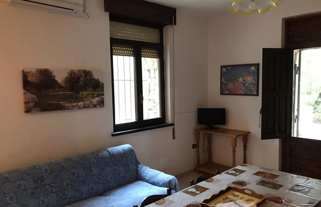 Tenuta la Saracina - Foto 49