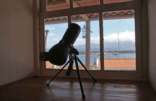 Casa do Porto da Horta - Foto 13