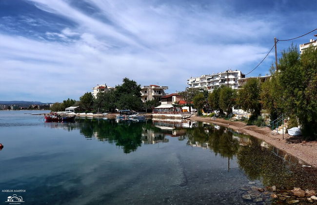 Philoxenia Hotel - Foto 54