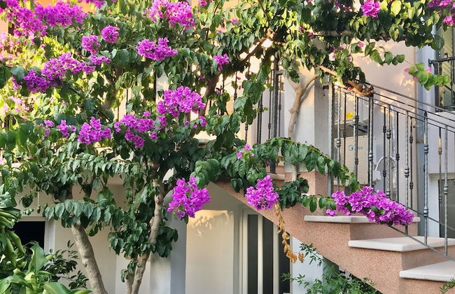 Apartments Ruzica - Photo 62