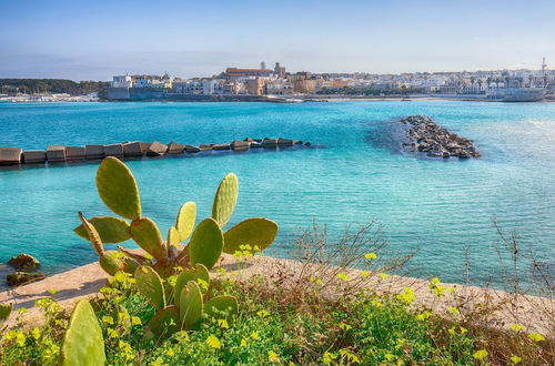 Photo 20 - Anna's House Otranto 200m From the sea