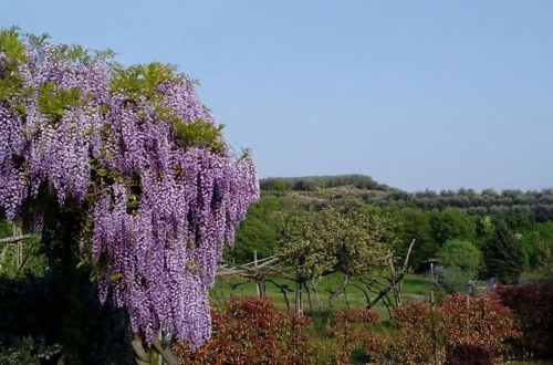 Photo 13 - Scenic Holiday Home in Pastrengo near Lazise Lake & City Center