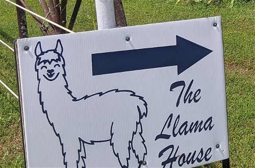 Photo 40 - Llama House