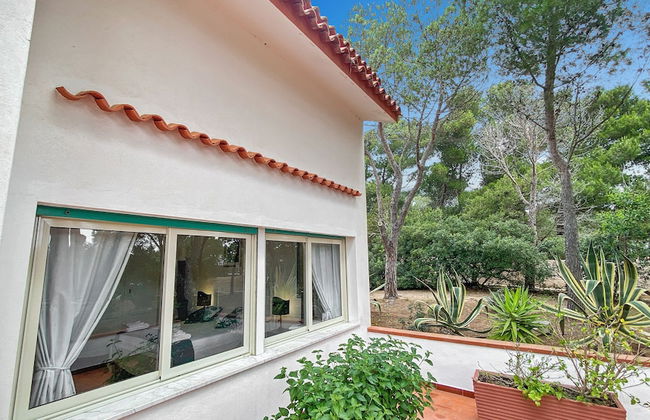 Villa Susy al mare - Foto 51