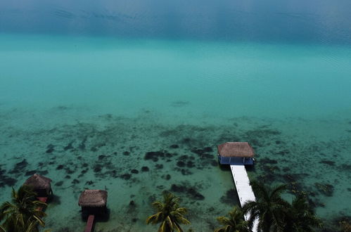 Photo 65 - Royal Palm Bacalar Cabañas & Lagoon Club