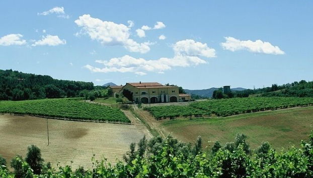 Weingut