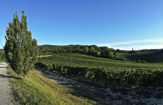 La Tenuta La Meirana - Foto 18