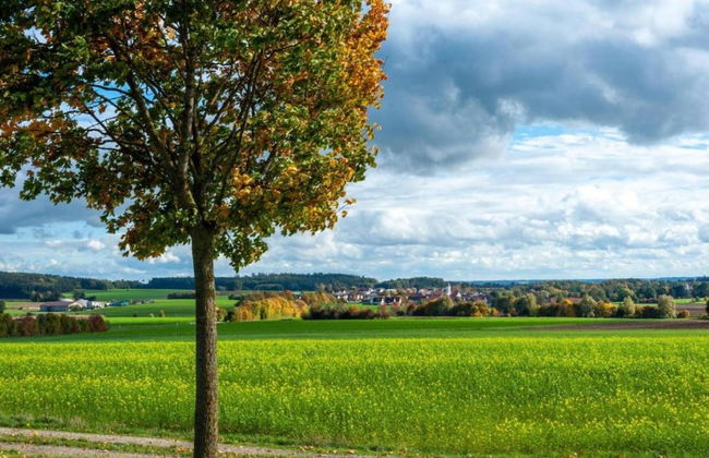 Gemutliches Ferienhaus mit Gartenlaube Amwaldrand - Foto 26