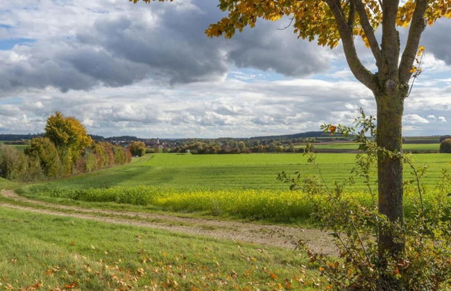 Gemutliches Ferienhaus mit Gartenlaube Amwaldrand - Foto 25