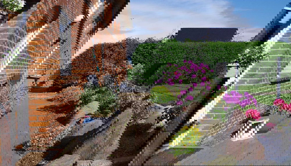Imagem principal