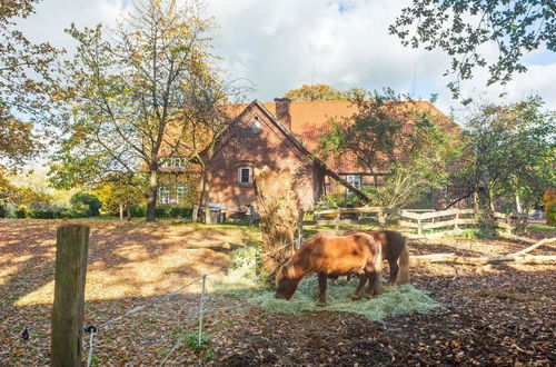 Foto 17 - Historic Half Timbered Farm in Hohnebostel near Water Sports