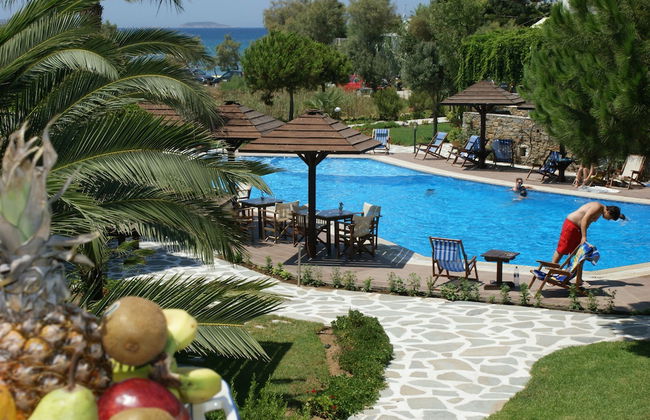 Alkyoni Beach Hotel - Foto 79