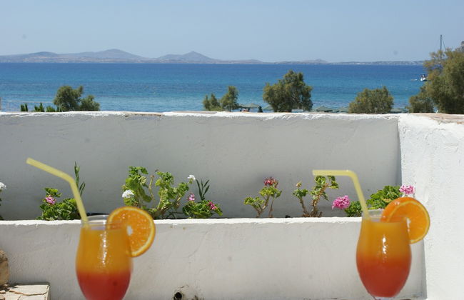 Alkyoni Beach Hotel - Foto 51