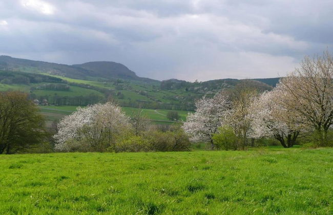 Natur-blockhaus in Waltershausen - Foto 35