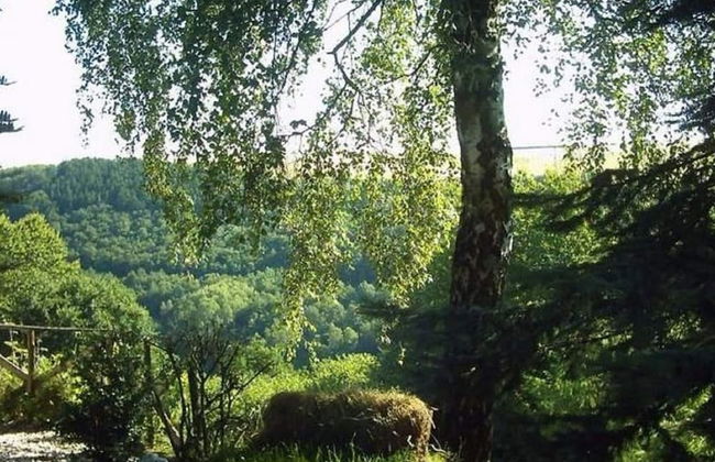Morbach Hillside Mansion - Foto 18