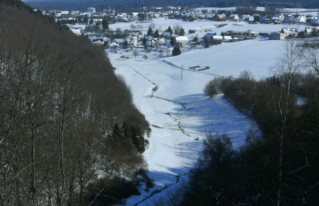 Morbach Hillside Mansion - Foto 24
