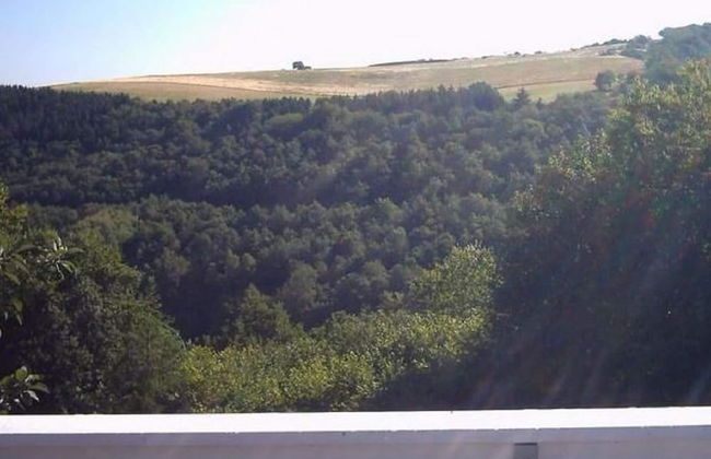 Morbach Hillside Mansion - Foto 22