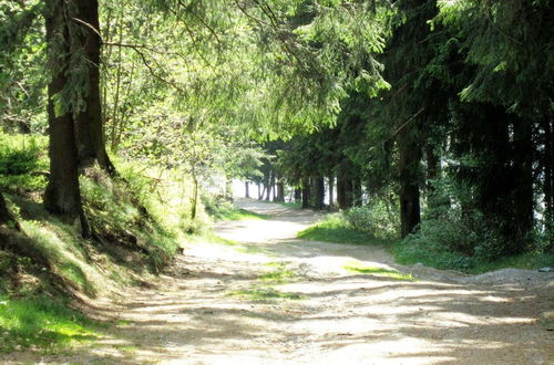 Photo 27 - Boutique Chalet in Büllingen near Lake