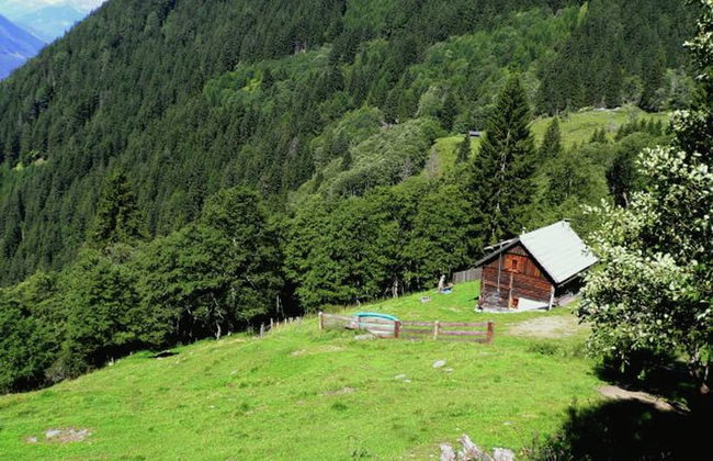 Chalet in Obervellach in Carinthia - Foto 21