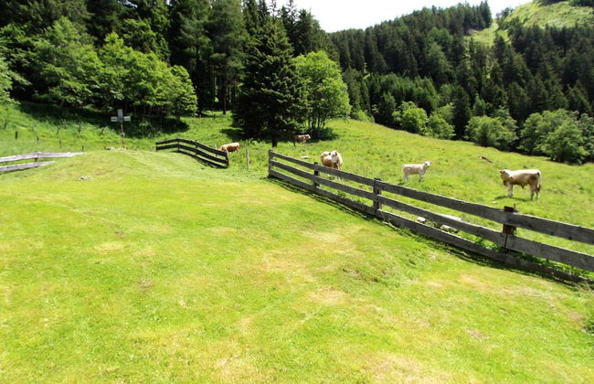Chalet in Obervellach in Carinthia - Foto 16