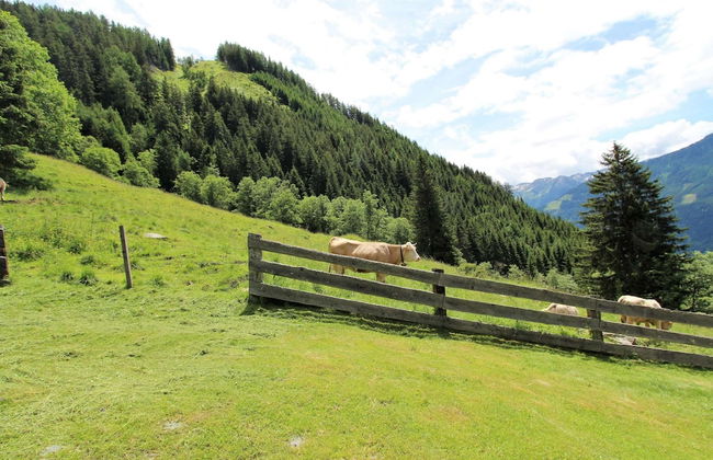 Chalet in Obervellach in Carinthia - Foto 24