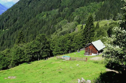 Photo 22 - Chalet in Obervellach / Carinthia