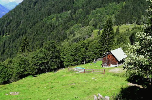 Photo 19 - Chalet in Obervellach in Carinthia