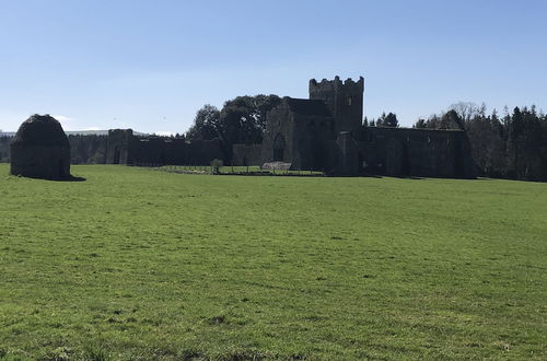 Photo 8 - The Lodge - Rural Tipperary Bordering Kilkenny