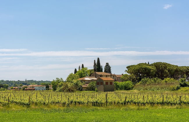 Villa Cerbaie - Foto 36