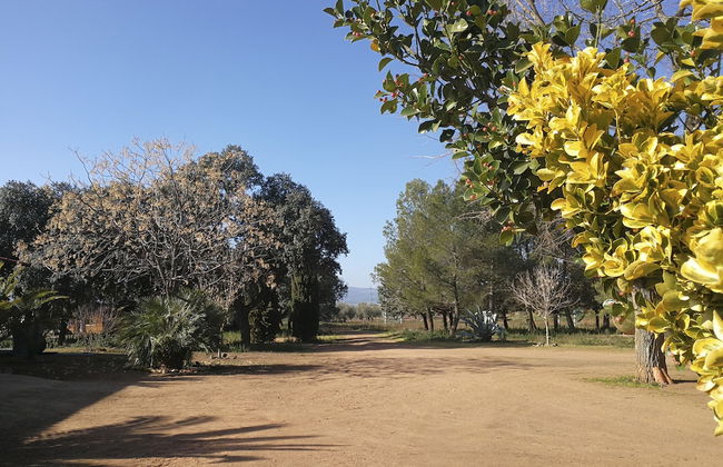 Agroturismo la finka - Foto 32