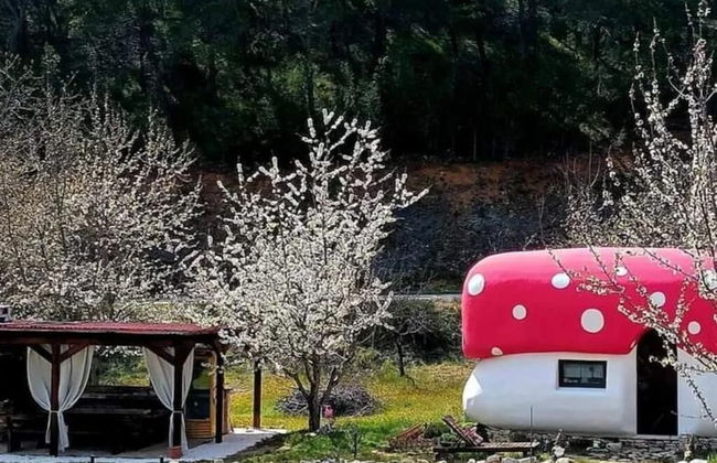 Krka Fairytale Village - Foto 45