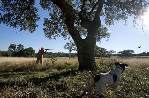 Photo 17 - Joshua Creek Ranch