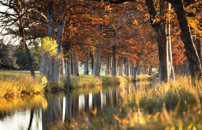 Joshua Creek Ranch - Foto 41