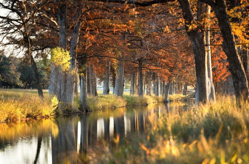 Photo 40 - Joshua Creek Ranch