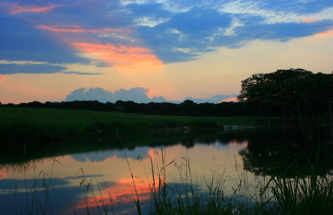 Joshua Creek Ranch - Foto 44