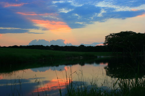 Photo 43 - Joshua Creek Ranch