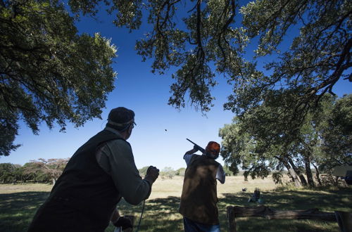 Photo 13 - Joshua Creek Ranch