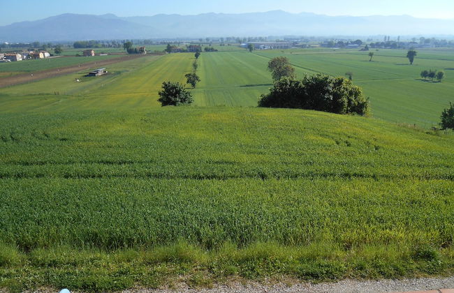 Agriturismo Podere Casenove - Foto 55