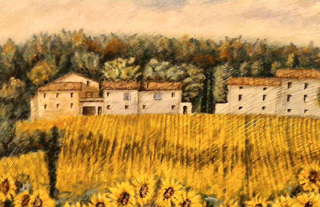 Agriturismo Podere Casenove - Foto 66
