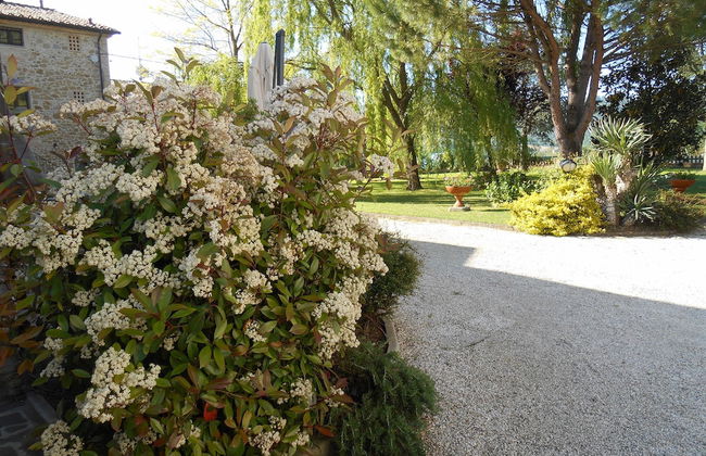 Agriturismo Podere Casenove - Foto 72