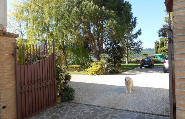 Agriturismo Podere Casenove - Foto 70