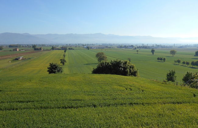 Agriturismo Podere Casenove - Foto 53